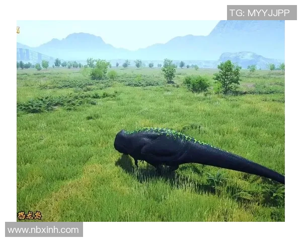 吴静的攀岩人生：从初心到巅峰的深度对话与探索之旅