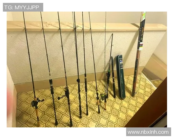 创新渔具技术与发展趋势探析：提升钓鱼体验的未来方向