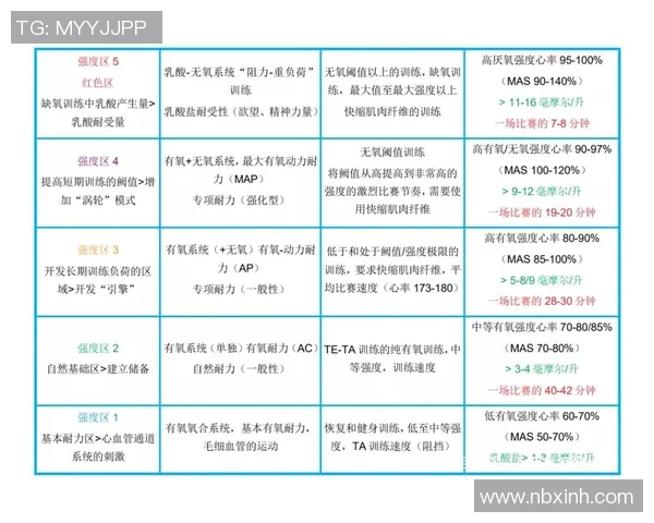 南京足球队与重庆足球队的耐力较量赛后深度分析与反思